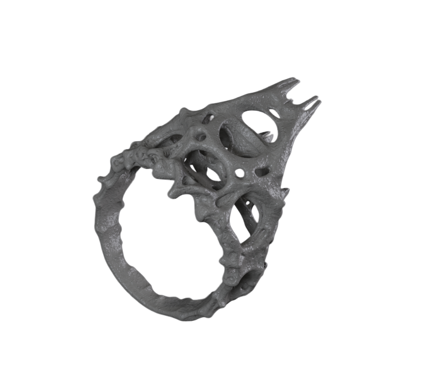 Ringu_002